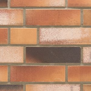492 Orange-Bunt