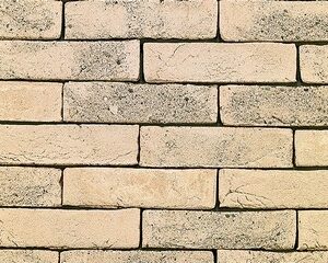 Branco Genuanceerd 215Х102Х65 (WFD65) РУЧНОЙ ФОРМОВКИ